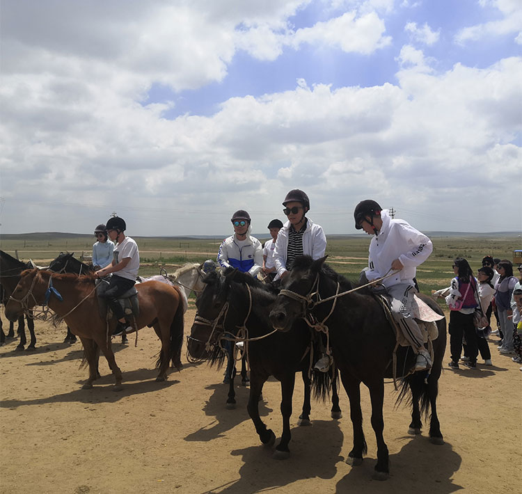 Grassland Journey